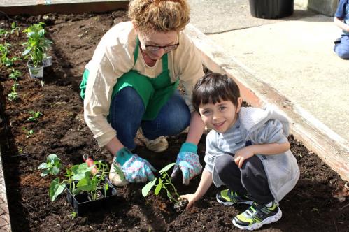 Gardening at ABC Land